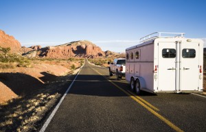 cargo trailer windows